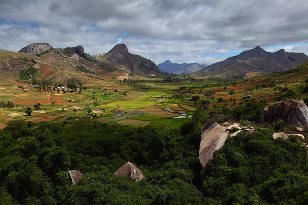 Madagascar — Stock Photo, Image