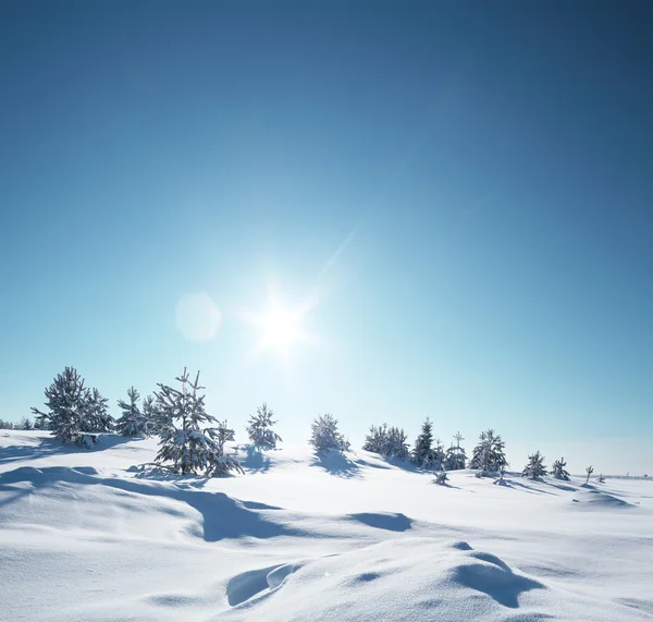 Campo de neve — Fotografia de Stock