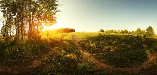 Voorjaar — Stockfoto