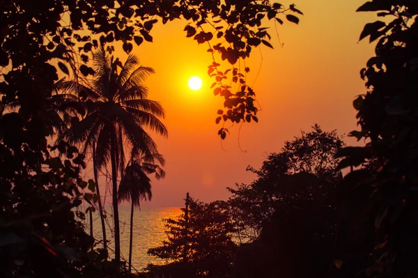 Sonnenuntergang — Stockfoto