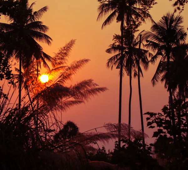 Sonnenuntergang — Stockfoto