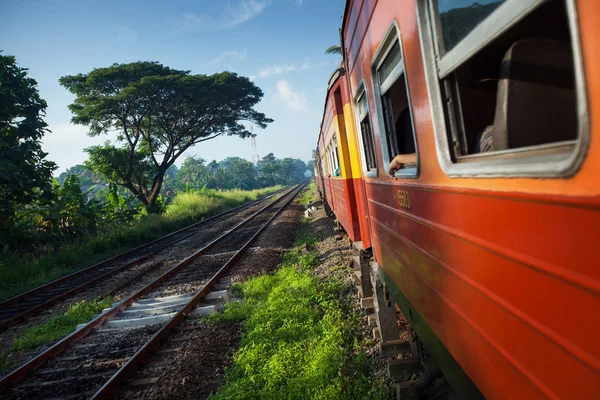 Tren. — Stok fotoğraf