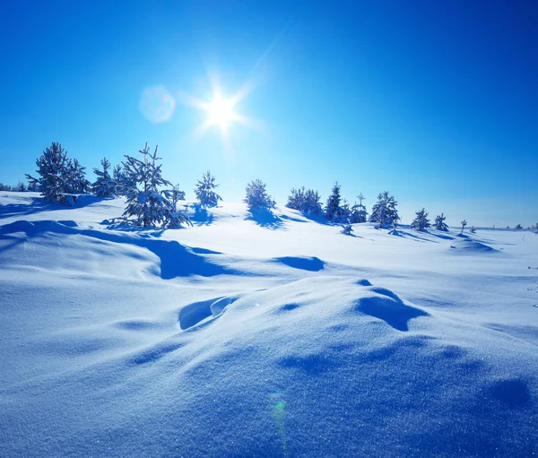 Snow field — Stock Photo, Image
