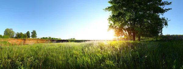 Spring — Stock Photo, Image