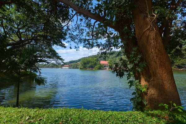 Sri Lanka — Stock Photo, Image