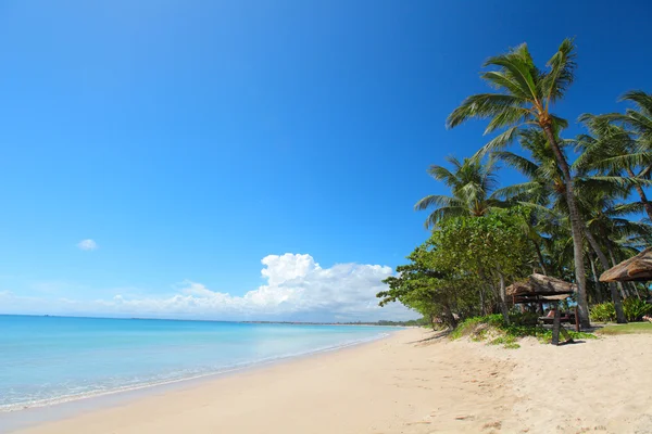 Tropical sandy beach with palm trees — Stock Photo, Image