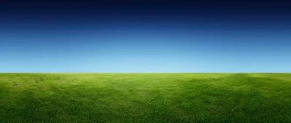 ทุ่งหญ้า — ภาพถ่ายสต็อก