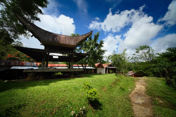 Toraja — Stockfoto