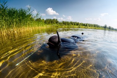 Spearfisher