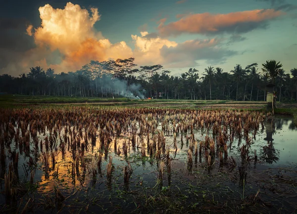 Indonésie — Stock fotografie