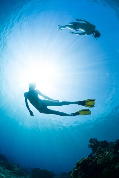 Mergulhador livre — Fotografia de Stock