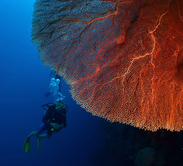 Indonesien — Stockfoto