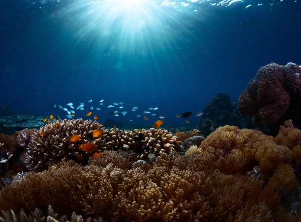 Indonesië — Stockfoto