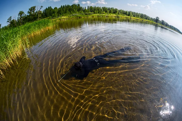 Spearfisher — Stock Photo, Image