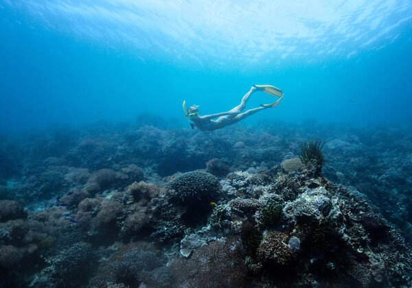 Свободный дайвер
