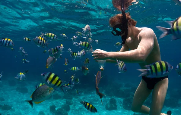 Mar azul — Foto de Stock