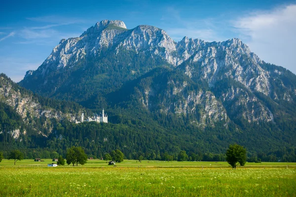 Germany — Stock Photo, Image