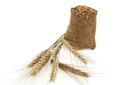 bir çuvalın içinde buğday taneleri