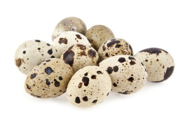 bıldırcın yumurtası