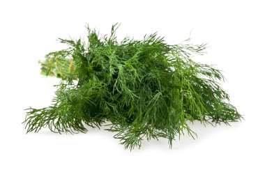 Dill.
