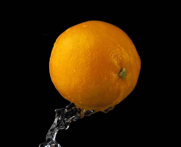 Оранжевый в воде — стоковое фото