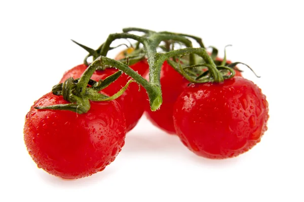 Tomaten — Stockfoto