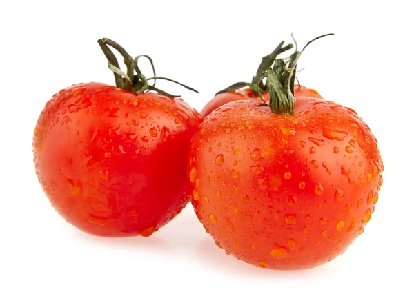 Tomaten — Stockfoto