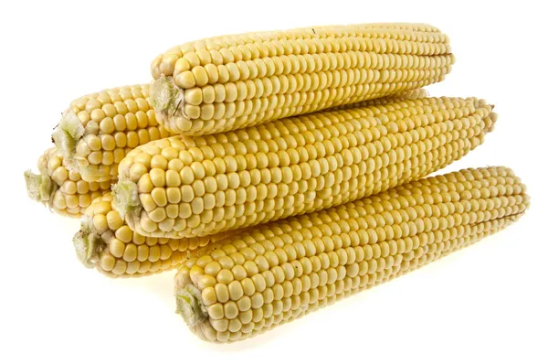 Káposzta kukorica — Stock Fotó