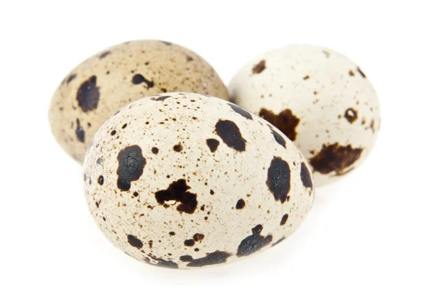 Перепелині яйця — стокове фото