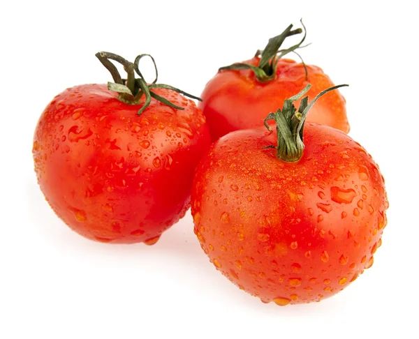 Tomaten — Stockfoto