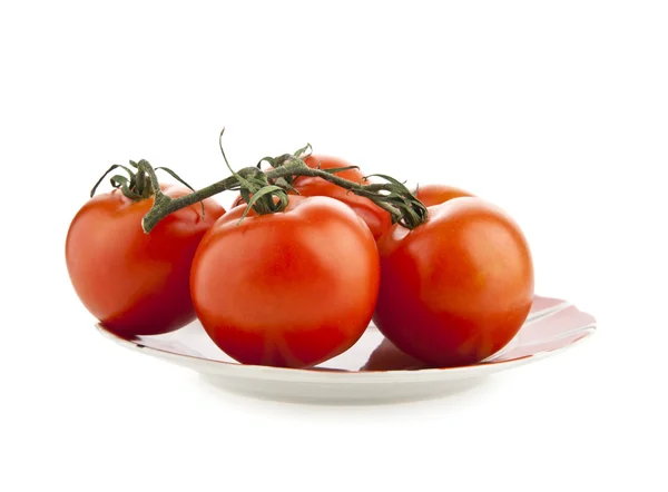 Tomatoes — Stock Photo, Image