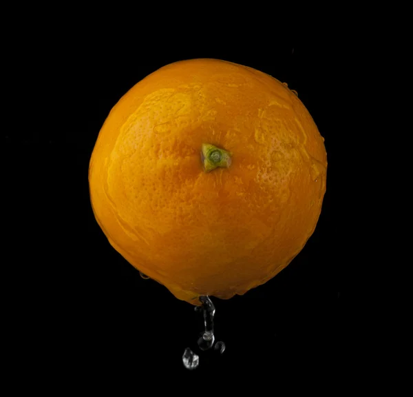 Orange — Stock Photo, Image