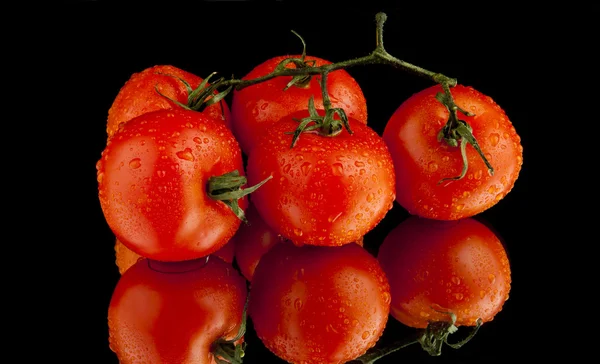 Tomaten — Stockfoto