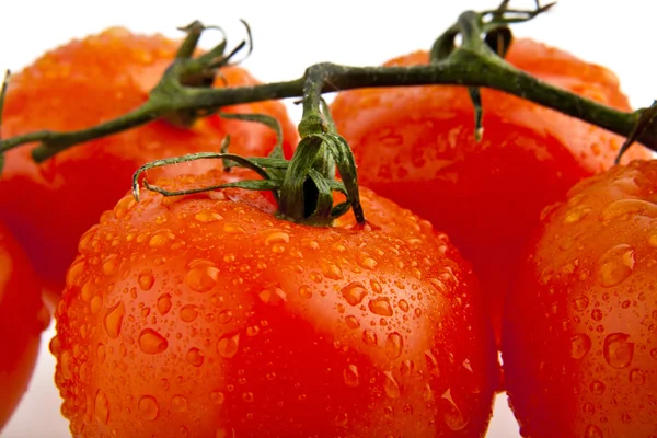 Wirydarz-do góry fotografia pomidorów — Zdjęcie stockowe