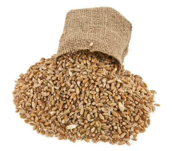 Grains of wheat in a sack — Stock Photo, Image