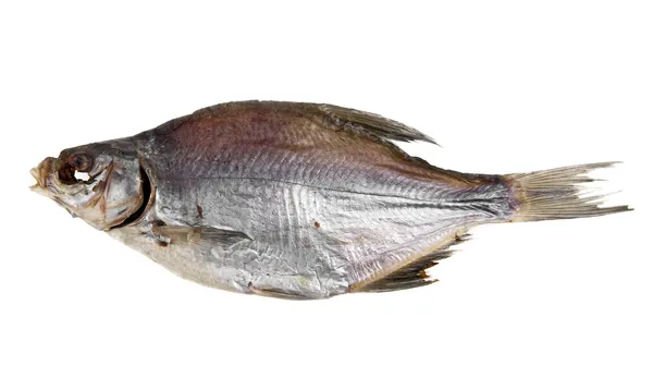 Pescado seco — Foto de Stock