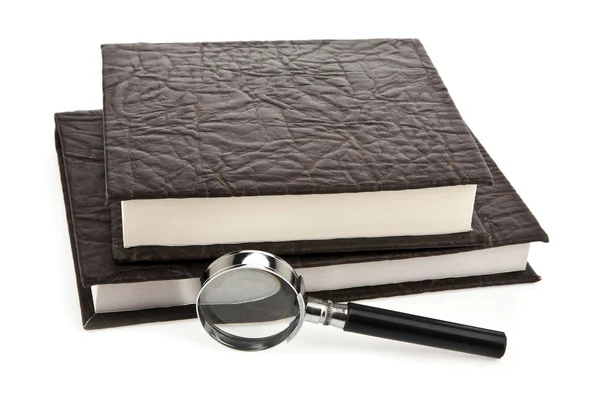 Books and magnifying glass — Stock Photo, Image
