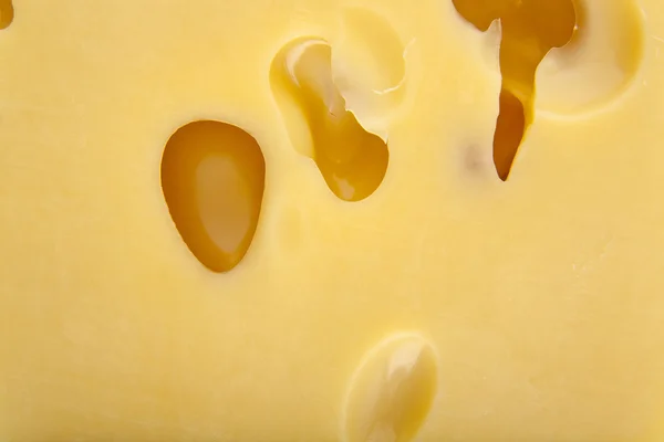 Cheese as background — Stock Photo, Image