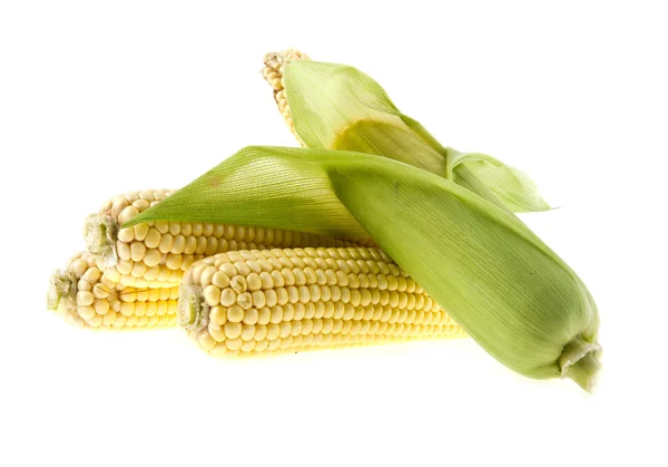 Corn — Stock Photo, Image