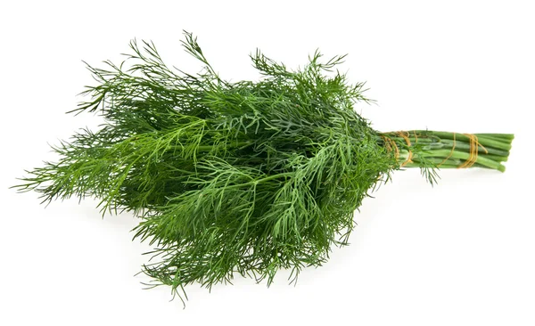 Dill — Stockfoto