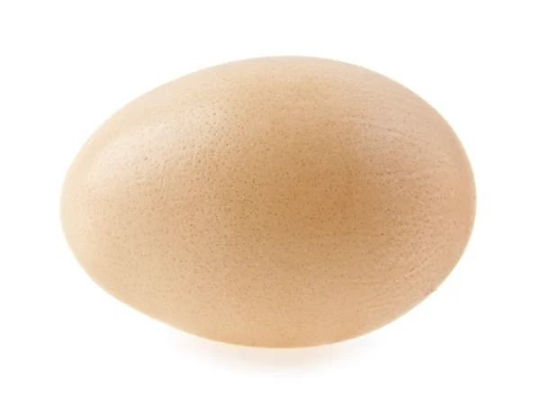 Яйцо на белом — стоковое фото