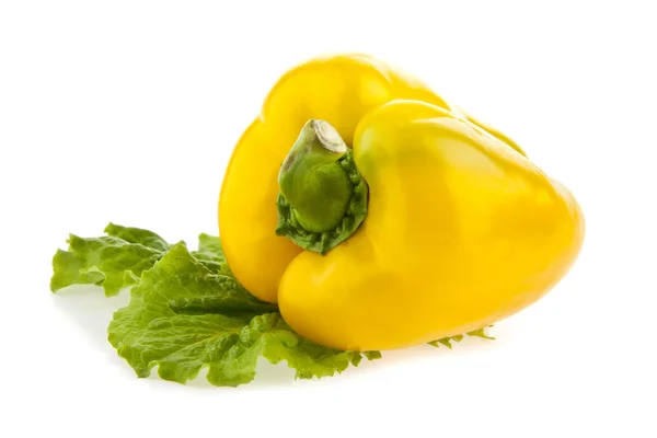 Pepper — Stock Photo, Image