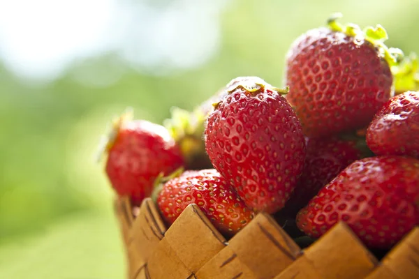 Fragola — Foto Stock