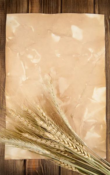 Orejas de maíz de trigo —  Fotos de Stock