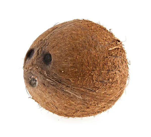 Hindistan cevizi