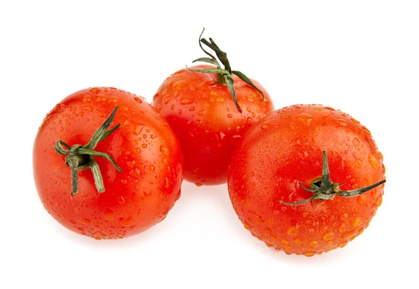 Tomaten in druppels — Stockfoto