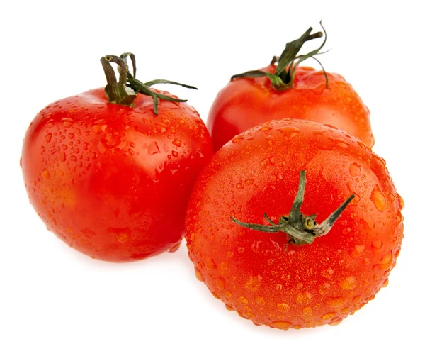 Tomatoes — Stock Photo, Image