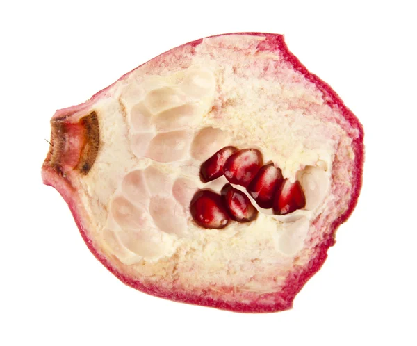 Granatäpple — Stockfoto