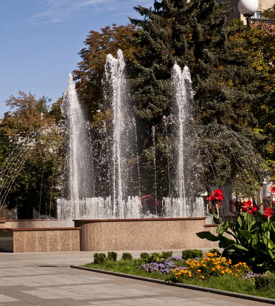 Una fontana è in un parco — Foto Stock