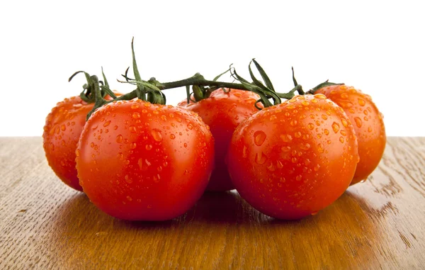 Tomaten — Stockfoto